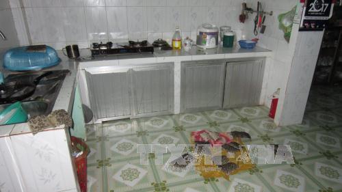 Phun hóa chất ngăn chặn ruồi xuất hiện dày đặc ở xã Tân Thành 